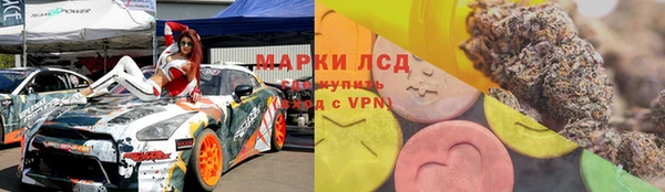 стаф Елабуга