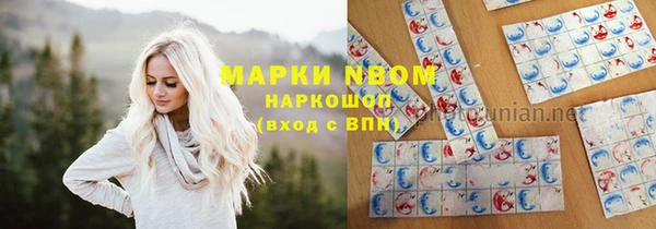 стаф Елабуга